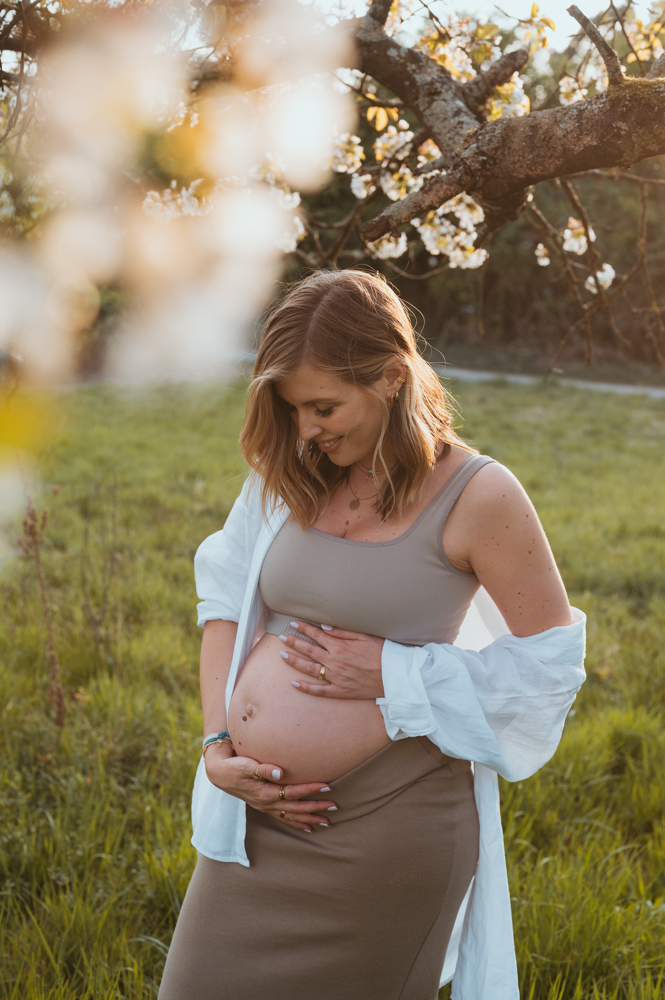 Schwangere Frau mit Babybauch unter Kirschblüten im Abendlicht – Babybauchfotografie Darmstadt
