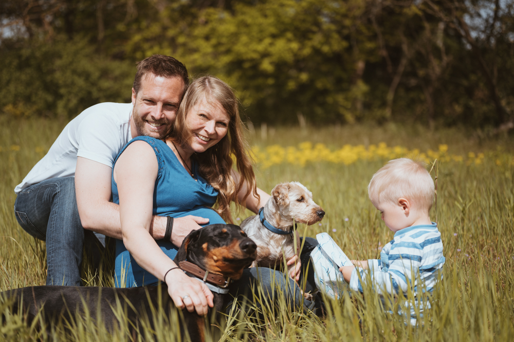 Familie mit Hunden und Babybauch – MALEA Fotografie Darmstadt