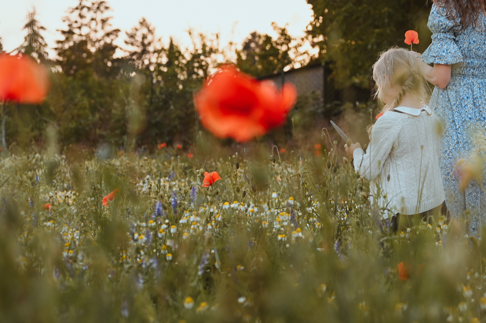Mädchen mit Mohnblume im Haar im Wildblumenfeld – MALEA Fotografie Darmstadt