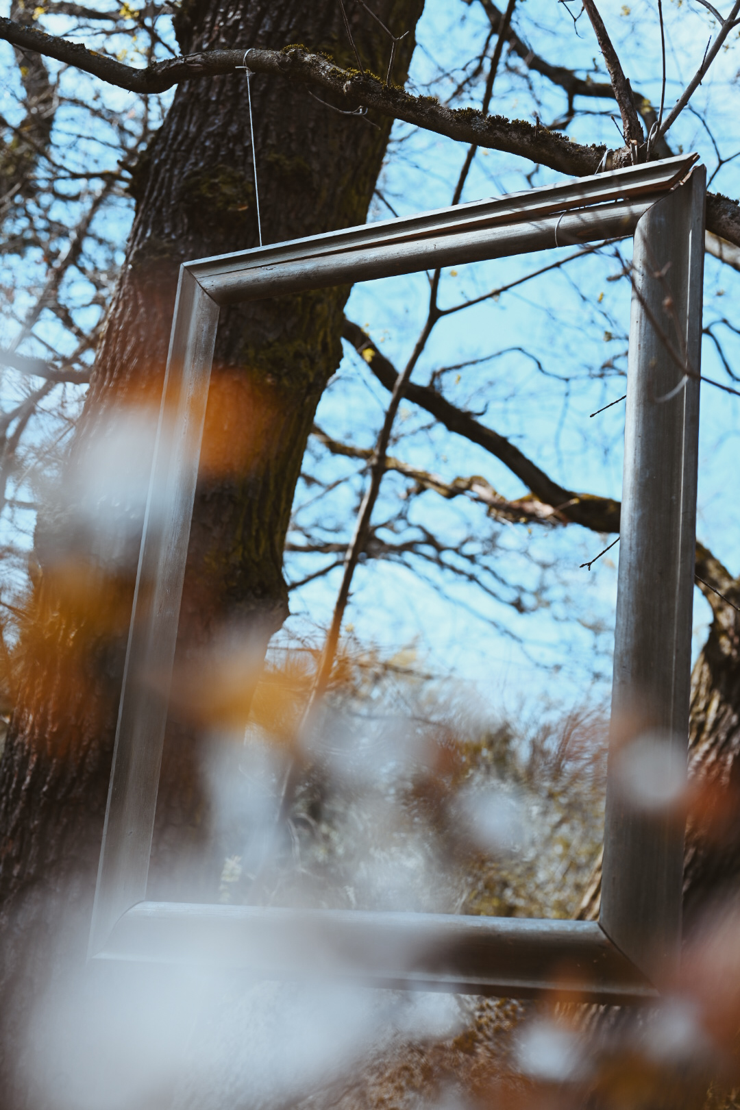 Bilderrahmen hängt im Baum – Raum für dein Bild, MALEA Fotografie Darmstadt